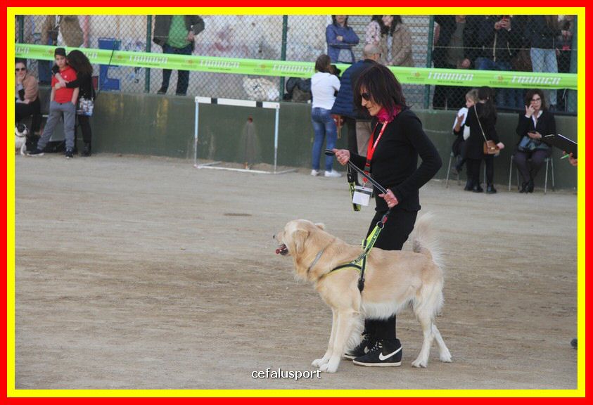 180311 mostra_canina 175.jpg